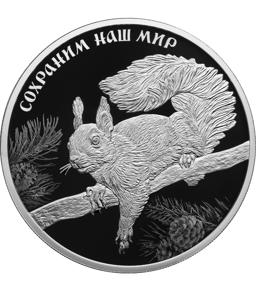 Монета Белка обыкновенная.png Монета Белка обыкновенная.png