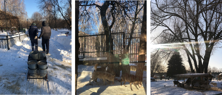 zoo.jpg